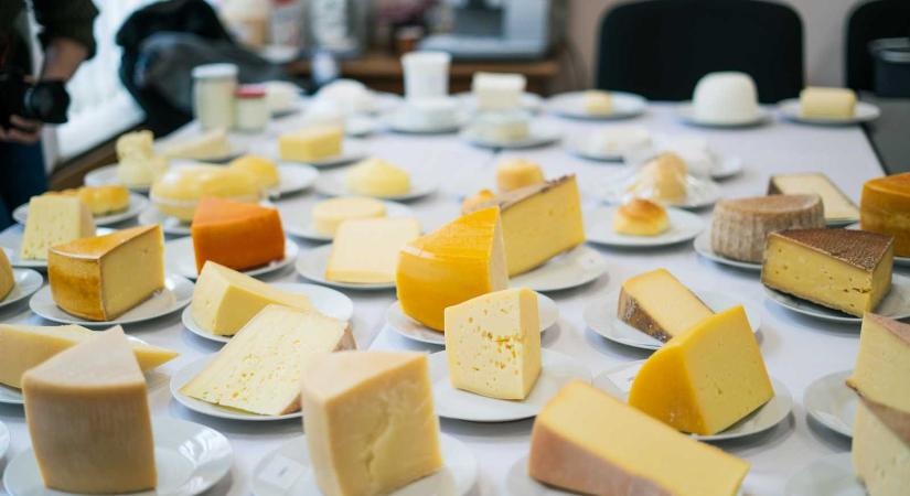 Főszerepben a tejtermékek: csíki gazdáknak tartanak sajtkészítő kurzust