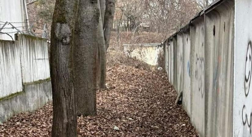 Csoda történt egy miskolci garázssornál!