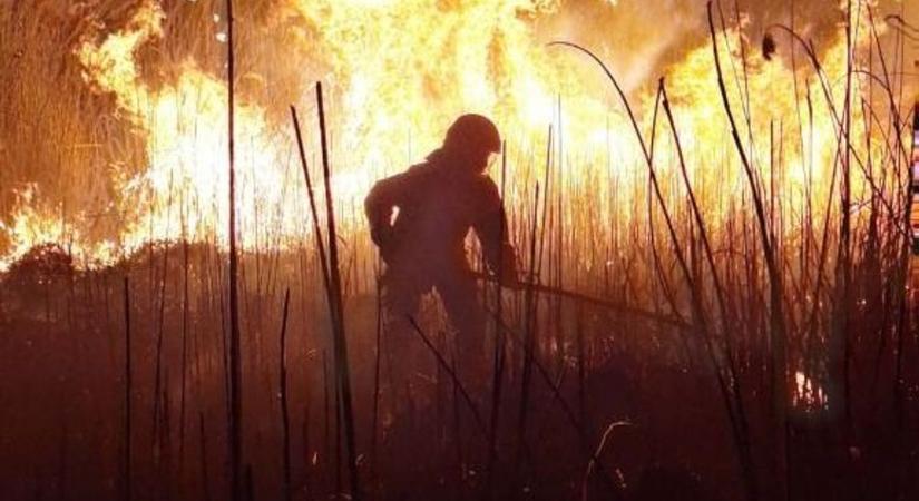 Szinte minden évben lángra kap ilyenkor a fonyódi nádas – mi állhat a háttérben?