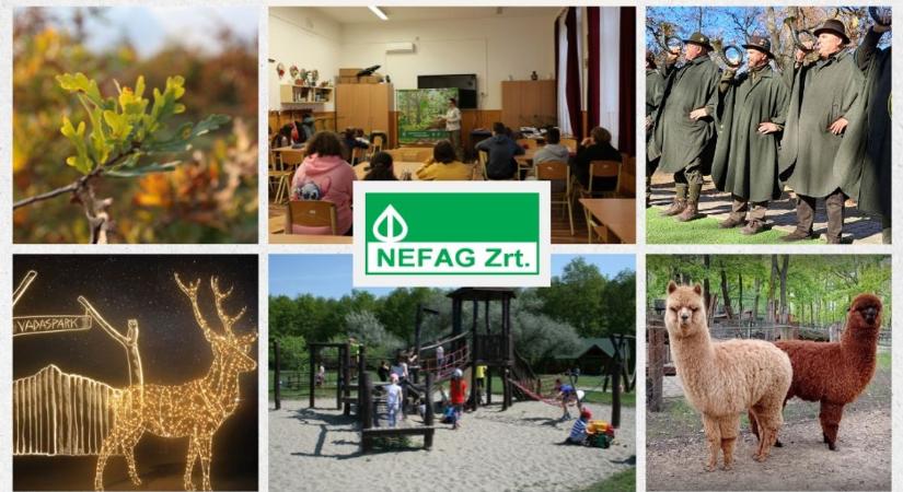 Nem csak Vadaspark, nem csak játszótér, NEFAG Zrt. az Alföld egyik legsokoldalúbb erdészeti társasága