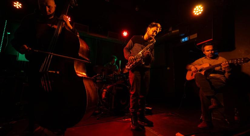 Családi muzsikálás profi mezőnyben