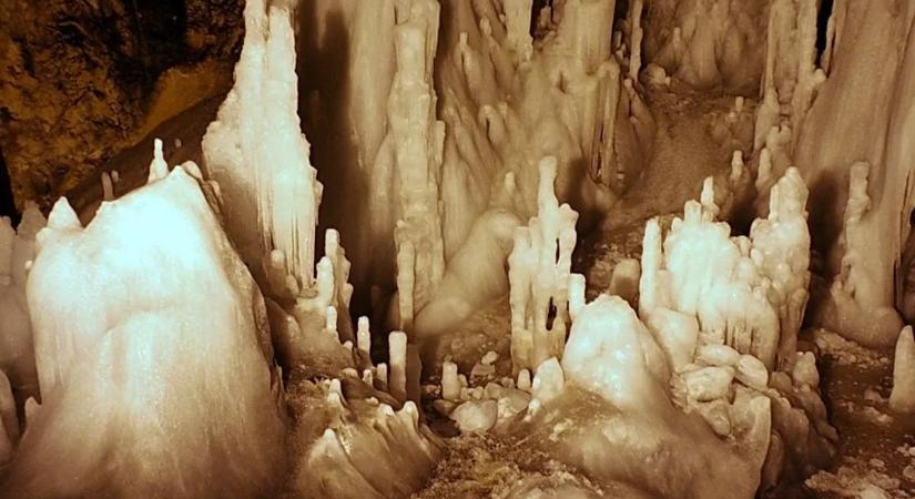 Félelmetes lények olvadnak ki a jégből, szinte lehetetlen elpusztítani őket