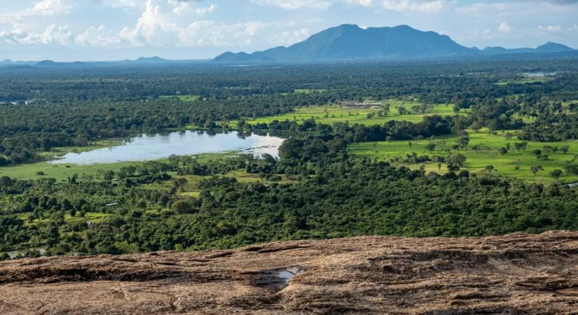 Elefánttámadásban halt meg egy magyar férfi Srí Lankán