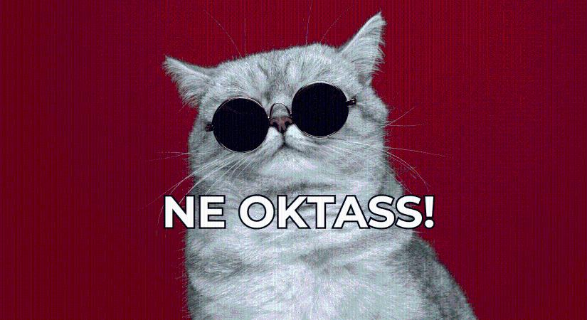 Fejezd be az edukációt a közösségi médiában. Megváltozott minden