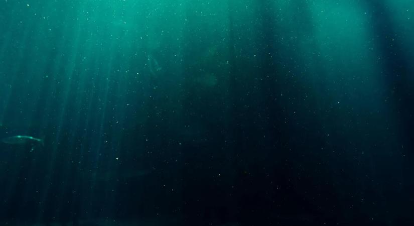 100 napig élt az Atlanti-óceán mélyén egy férfi - 10 évvel fiatalabbnak érezte magát, miután visszatért