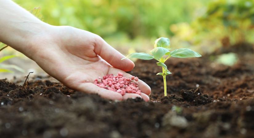 Ébredezik a kert: itt az ideje a tavaszi trágyázásnak