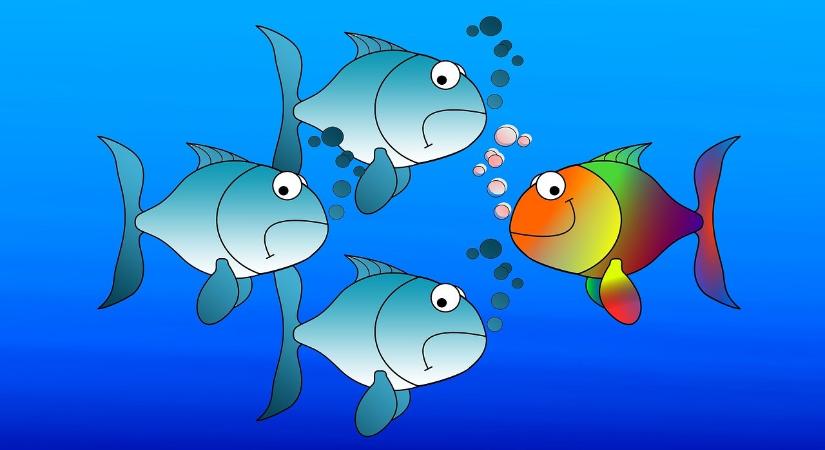 Megbízási vagy tartós megbízási jogviszony? Nézzük, miben különböznek egymástól, miben nem!