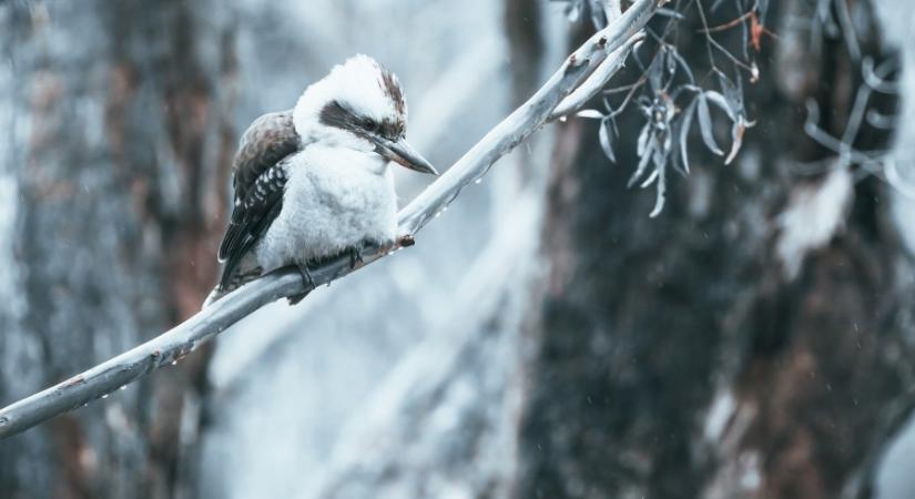 Nagy esőt és havat kaphatunk a hét második felében