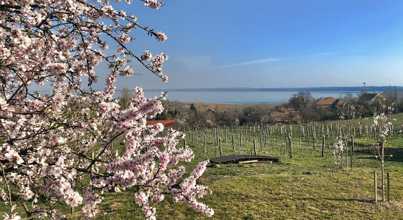 Március 15-i ünnepi megemlékezés 2026 Csopak