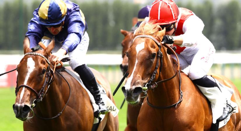 Extrém pesszimisták a dolláron ülők