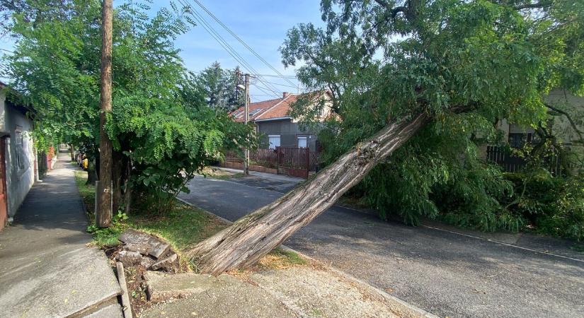 Nem csak az olcsóbb árak miatt fontolják meg a magyarok a lakásbiztosításuk váltását