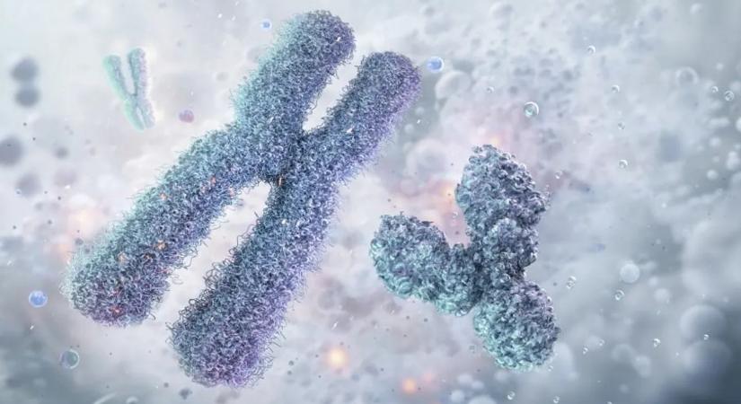 Megfejtették, miért élnek rövidebb ideig a férfiak