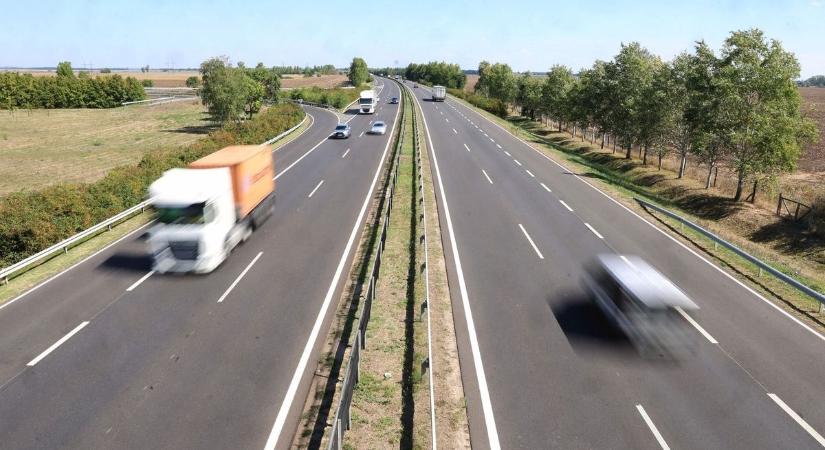 Riasztás az autópálya mellett: Mindenki menekült, amikor meglátták, mi ólálkodik az erdőben!