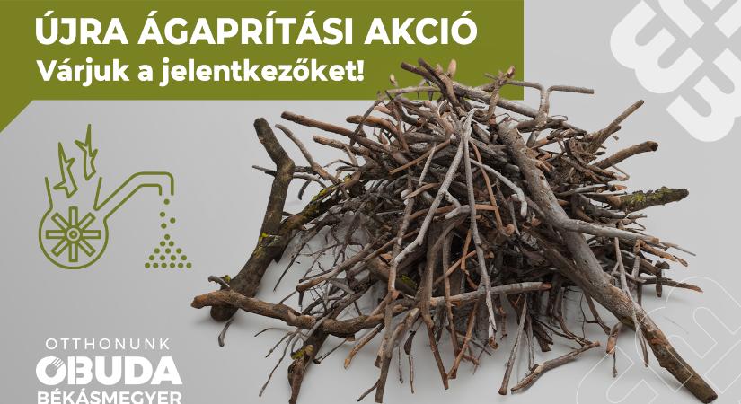 Ágaprítási akciót hirdetünk