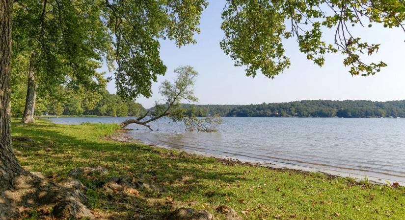 Kétmilliárdos pályázat mentheti meg a Velencei-tavat a kiszáradástól