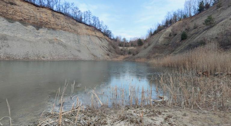 A fideszes képviselő szerint hibázott a férje, amikor azt írta, kutyákat engedett volna a tüntetőkre