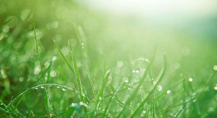 Kellemes vagy zord idő jön? Holnap így alakul a hőmérséklet