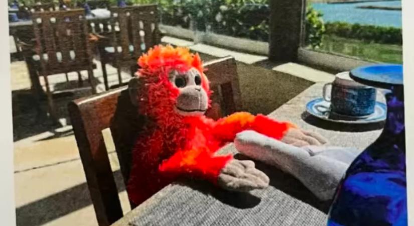 Elvesztette a kisfiú a nyaralásán a plüssét: amit a szálloda tesz, zseniális