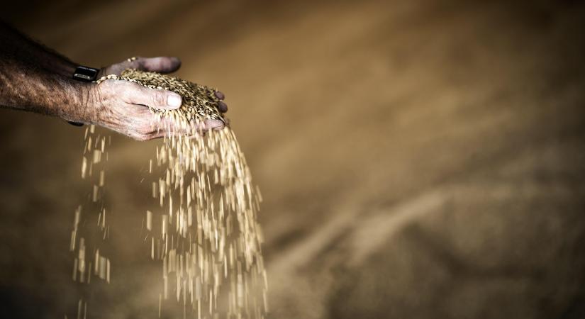 A magyar élelmiszerbiztonság a legfőbb cél