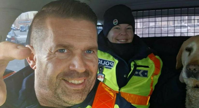 Szendviccsel csalogatták a kóbor kutyákat Nagykanizsán a járőrök