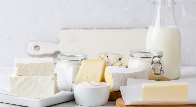 Bajban vannak a hazai tejtermelők: bezuhant a tejár, mindent letarol az olcsó import