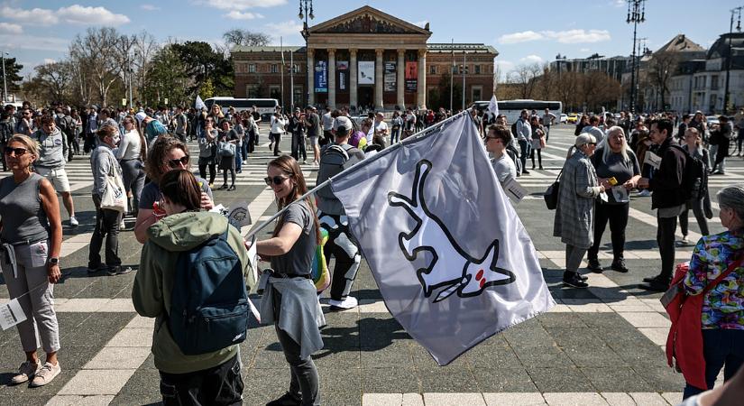 Hat helyet akar a parlamentben a Kutyapárt