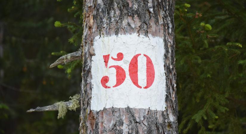 50 éves a Magyar Élelmiszerkönyv