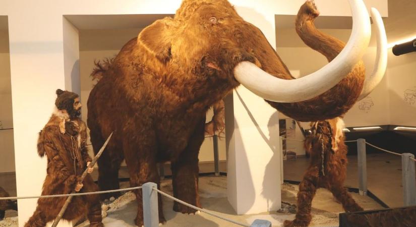 Újabb attrakcióval gazdagodik a Komlóverzum