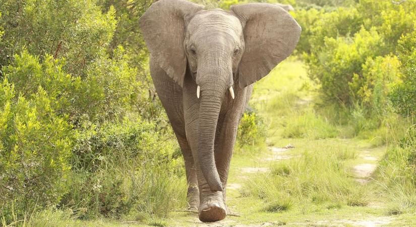 Srí Lanka biztonságos - megszólalt a kaposvári utazási iroda vezetője a tragédia után