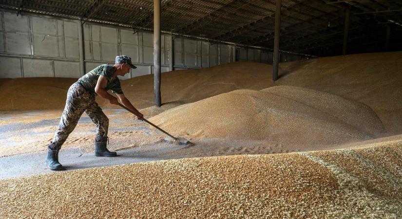Jó hír a gazdáknak! Újabb fejlemények Bászna Gabona Zrt. károsultjai ügyében