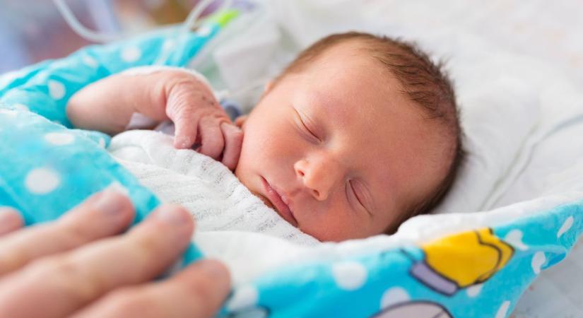 Gólyahír – újabb csöppségekkel gazdagodtunk