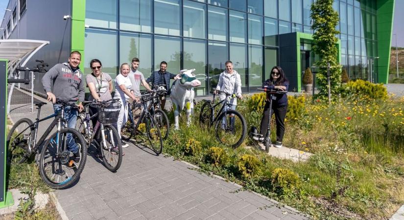 Siker Európa élvonalában: nemzetközi díjat kapott egy debreceni üzem beruházása