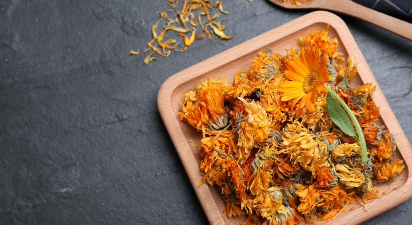 Három virág, ami biztosan nem hiányozhat a kertedből