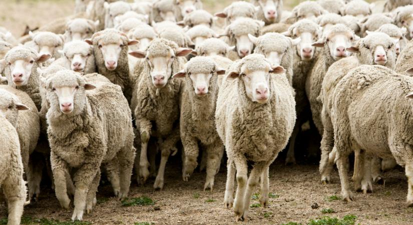 Felszólítás érkezett: március 31-én lejár a határidő, ezt el kell intézni