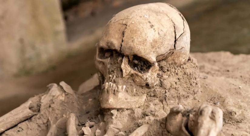 12 ezer éves titokra derült fény: megfejtették a jégkorszak genetikai rejtélyét