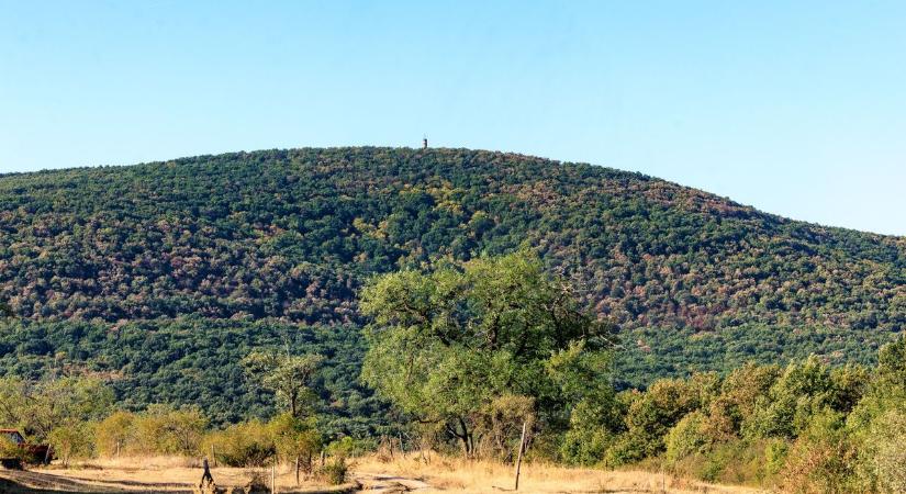 Megállt az ütő a gyűjtőben: olyat talált a Mátra mélyén, amire évtizedek óta nem volt példa!
