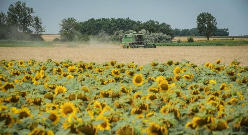 Csak ez hiányzott: a hideget már kibekkelték, most valami még rosszabb teheti tönkre a termést