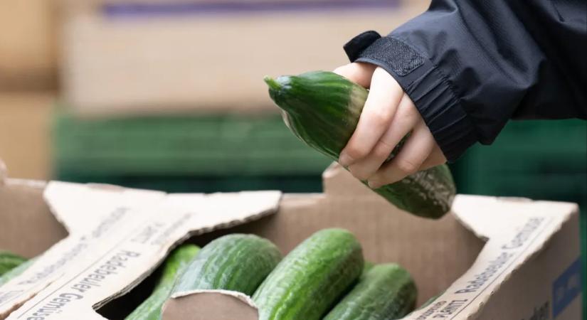 Kiakadtak az oroszok a háborús uborka árán, de náluk még mindig olcsóbb, mint itthon