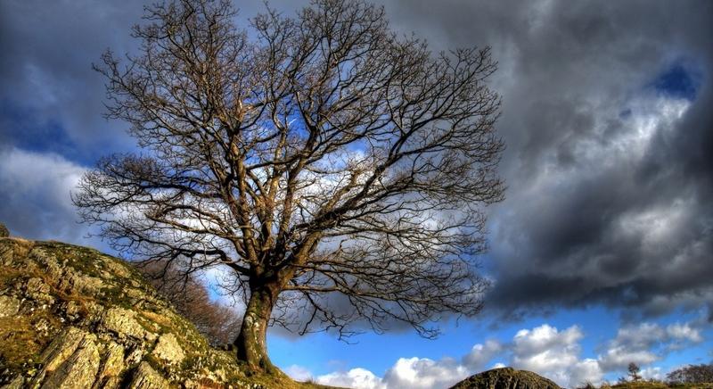 Felhőátvonulásos, szeles idővel folytatódik a hét