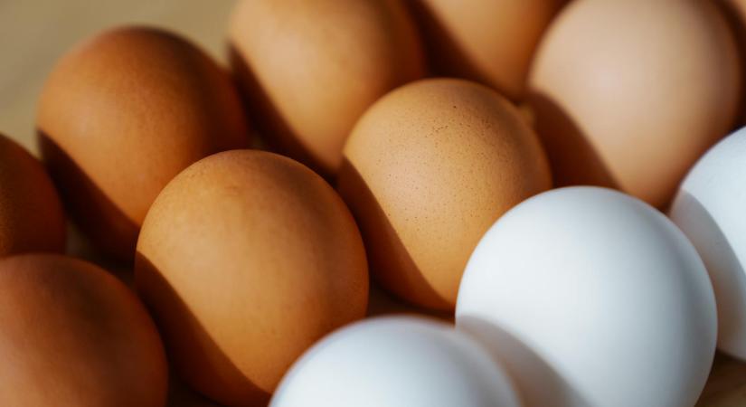 A magyarok többsége rosszul tárolja a tojást – nem ott a helye, ahol gondolnád