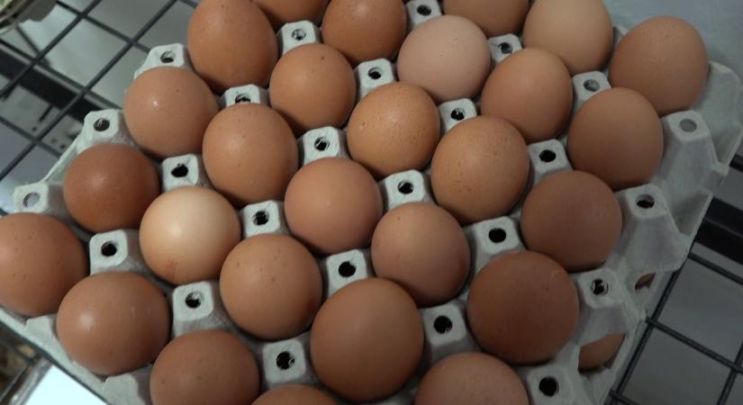 Kiderült, mennyivel drágulhat a tojás húsvétkor