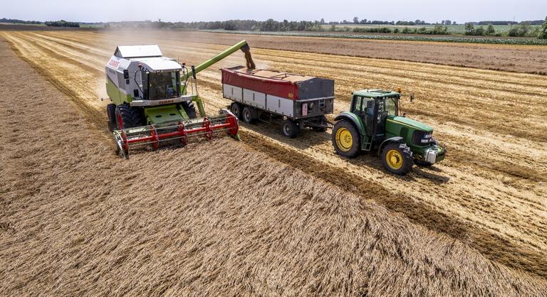 Magyarország kiadta a figyelmeztetést, nagy veszélyben az önellátásunk