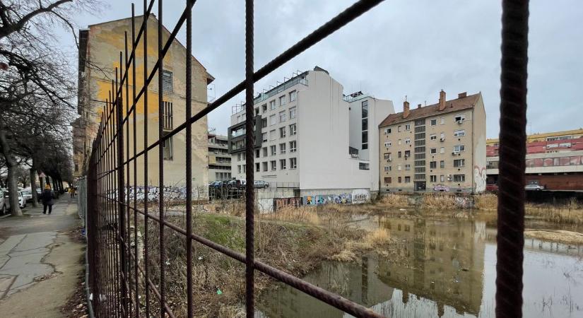 Szúnyogparadicsom a belvárosban: megint megtelt a Centrum-gödör, forrnak az indulatok