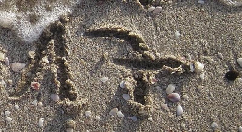 2026. február 17. – Információk, hírek vállalkozóknak