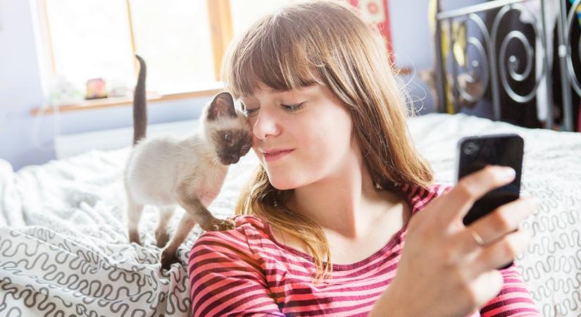 Döbbenetes, hogyan hatnak ránk a macskás videók