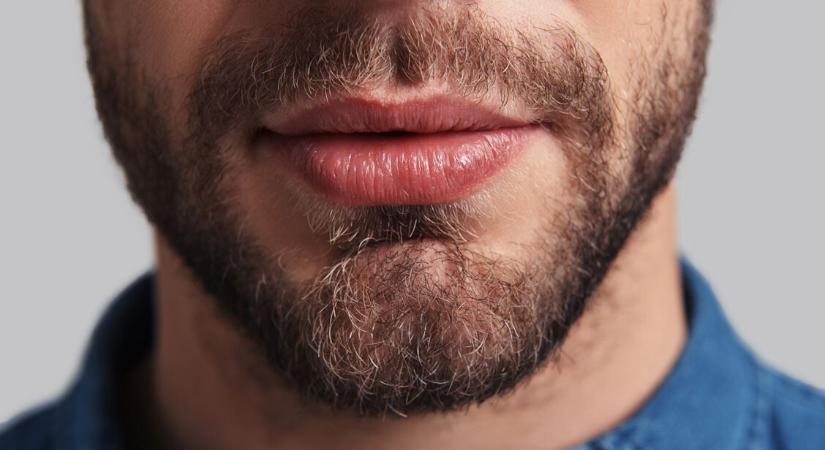 Csak az embernek van álla – mutatjuk miért