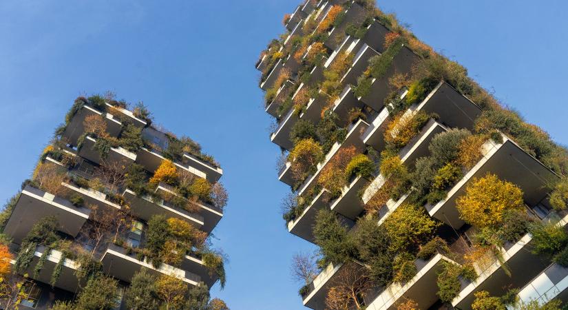 A függőleges kertészkedés innovációi