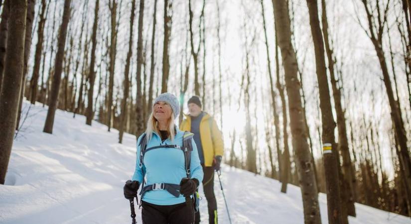 Sclerosis Multiplex – így lassítható a betegség előrehaladása