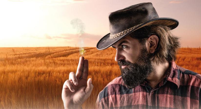 Újabb revans a kalászkárosítókon – megújult REVANS csomagok a KITE kínálatában