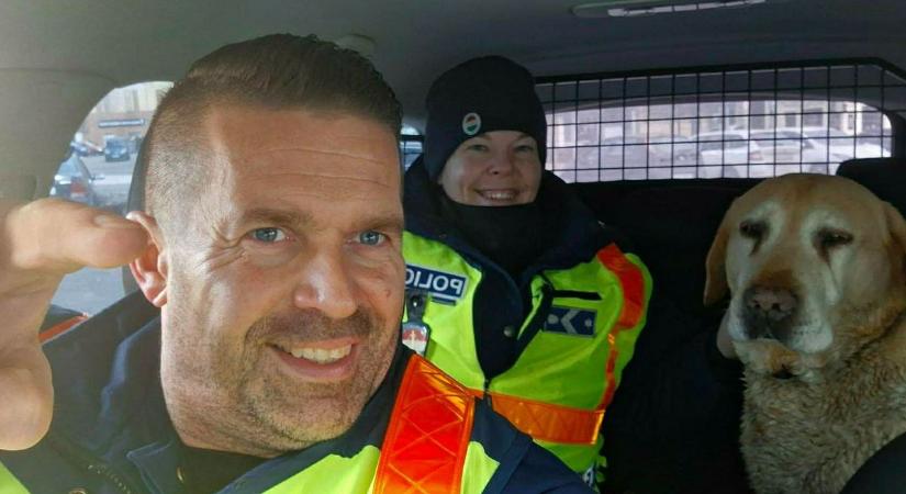 Ez nem mese, hanem Zala! Kordonszalagból lett póráz – így zárult a rendőrség kutyakalandja